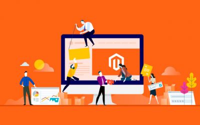 Magento Ontwerp Opties Voor Uw Nieuwe Magento Webshop